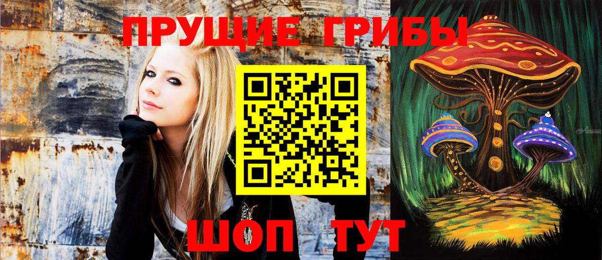 Стрежевой  Галлюциногенные грибы Psilocybine cubensis  Вход с VPN 